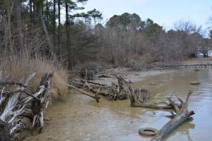 Neavitt Maryland Living Shoreline Before Bryan & Sons