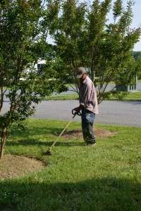 Lawn Mowing and weed trimming