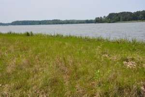 waterfront property restoration