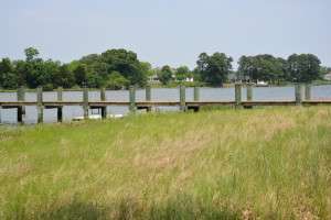 Living shoreline restoration with grasses and marshlands