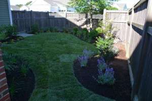 Backyard Landscaping Easton Village