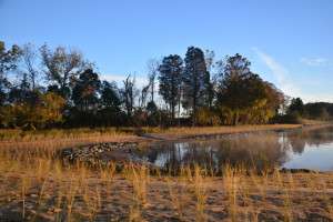 Tred Avon – created living shoreline for shoreline erosion control
