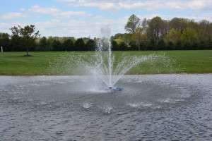 Water Feature Fountain and Pond by Bryan and Sons